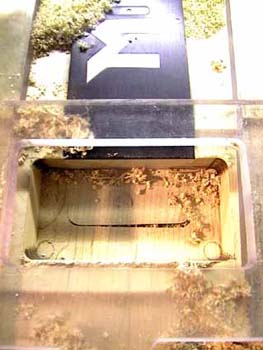 86_cutted_out_space_for_the_pickup